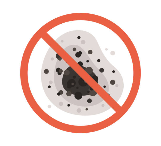 Forensic Mold Investigation in Ellerslie, GA