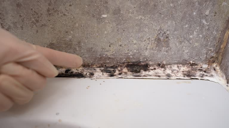 Best Mold Removal for HVAC Installations  in Ellerslie, GA