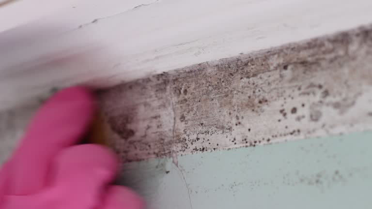 Best Air Quality Testing for Mold Spores  in Ellerslie, GA